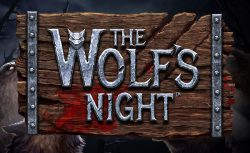 Wolfs Night